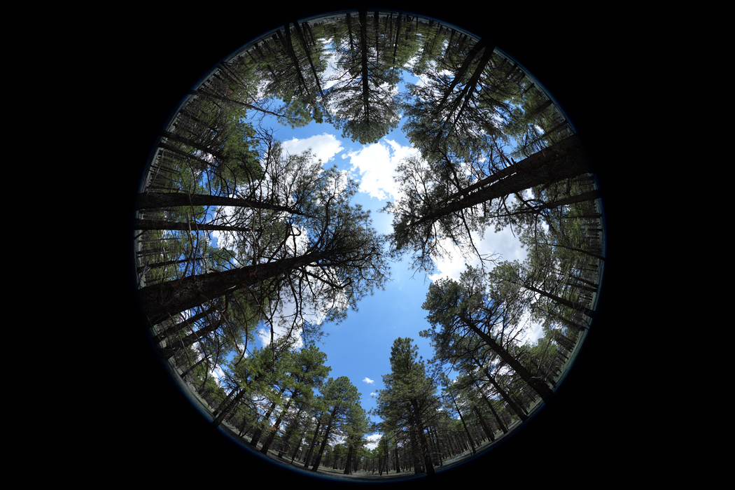 Sony FE 8-14mm f/3.5 Fisheye G Lens