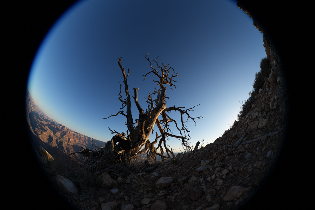Sony FE 8-14mm f/3.5 Fisheye G Lens