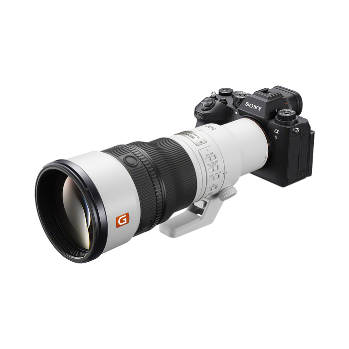 Sony FE 600mm f/6.3 GM OSS Lens