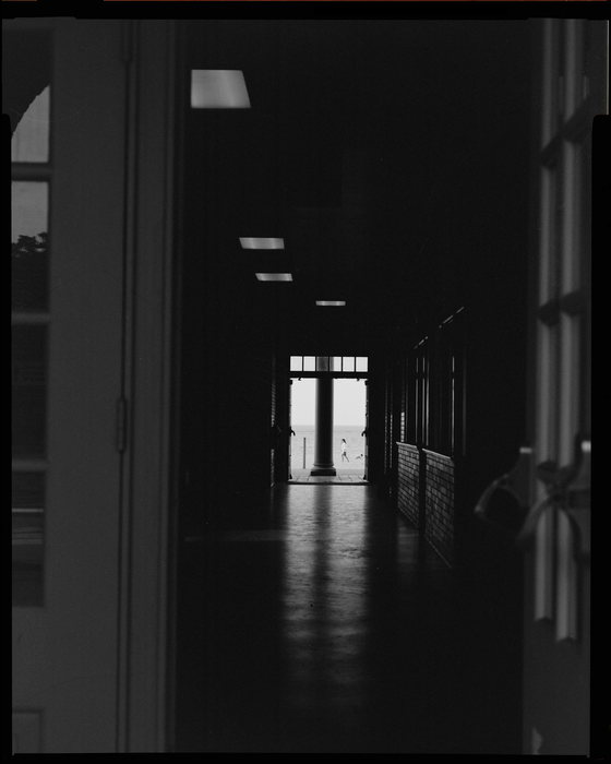 Kodak Eastman Professional TRI-X 320 Black & White Negative - 4x5 Film, 10 Sheets