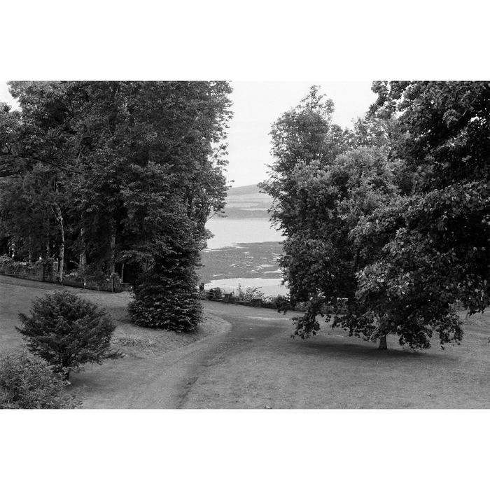 Kentmere Pan 400 Black & White Negative - 35mm Roll Film, 100' Roll