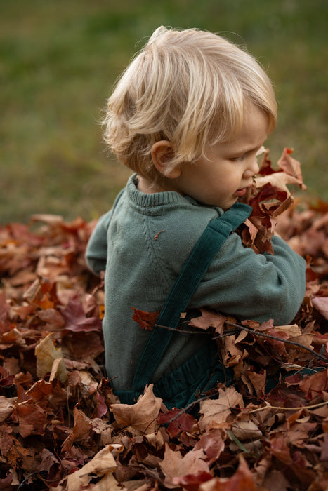 Sigma 56mm f/1.4 Contemporary Lens - Canon RF Mount