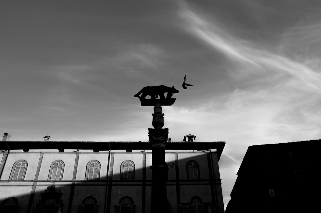 Leica Q3 Monochrom Digital Compact Camera