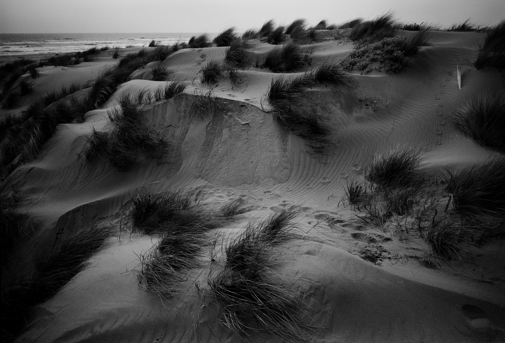 Leica Q3 Monochrom Digital Compact Camera