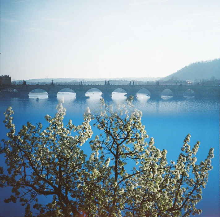 Lomography 400 Color Negative, 120 Film, Single Roll