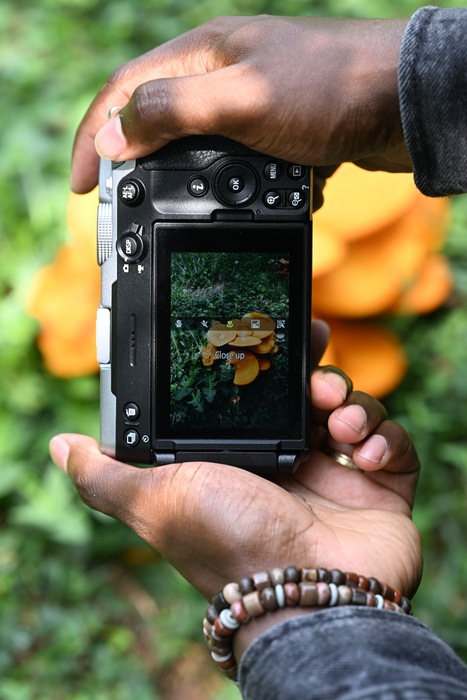 Nikon Z5 IIC Mirrorless Camera - Silver