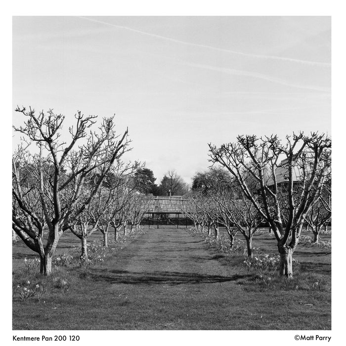 Kentmere Pan 200 Black & White Negative - 120 Film, Single Roll
