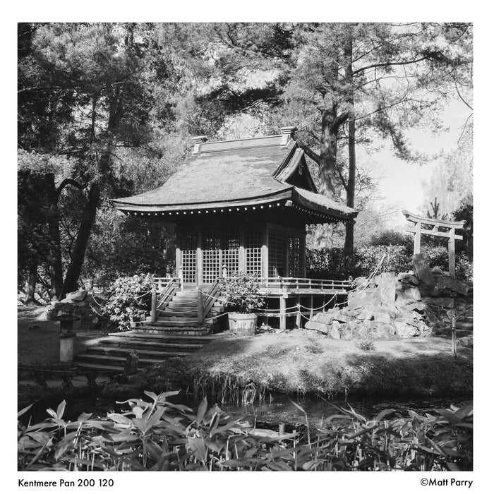 Kentmere Pan 200 Black & White Negative - 120 Film, Single Roll