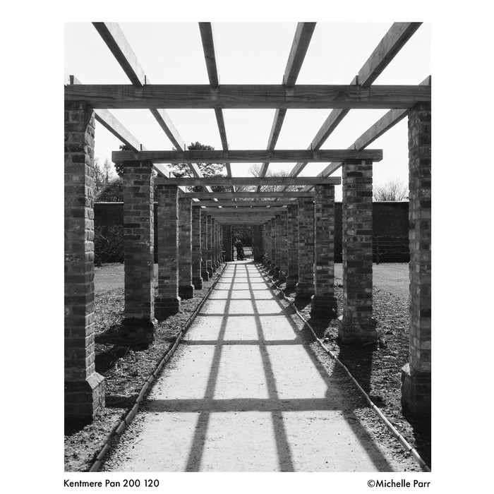 Kentmere Pan 200 Black & White Negative - 120 Film, Single Roll