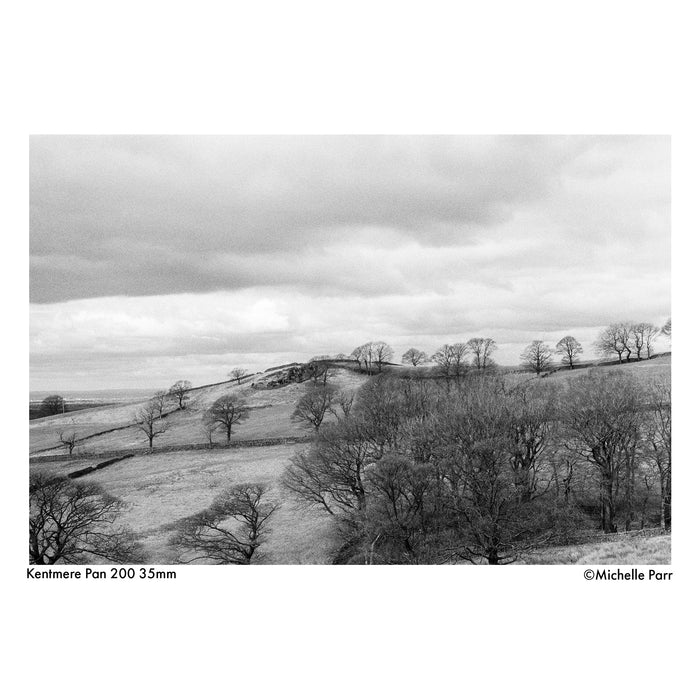 Kentmere Pan 200 Black & White Negative - 35mm Film, 36 Exposures, Single Roll