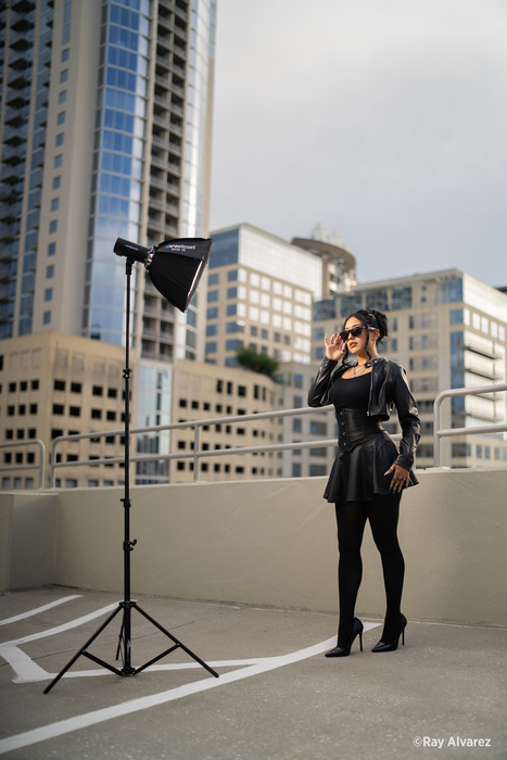 Westcott Octa 15 Softbox & Grid (Twist Lock Mount)