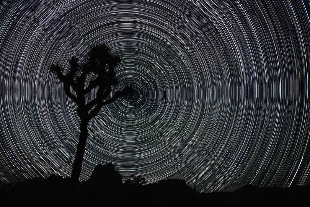 Nikon Z5 II Mirrorless Camera with 24-200mm f/4-6.3 VR Lens