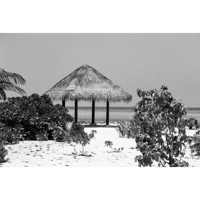 Ilford Pan F Plus 50 Black & White Negative - 120 Film, Single Roll