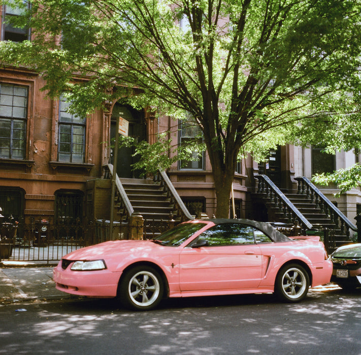 Harman Phoenix II 200 Color Negative - 120 Film, Single Roll