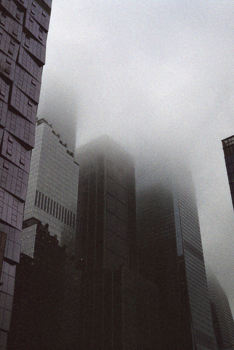 Harman Phoenix II 200 Color Negative - 35mm Film, 36 Exposures, Single Roll