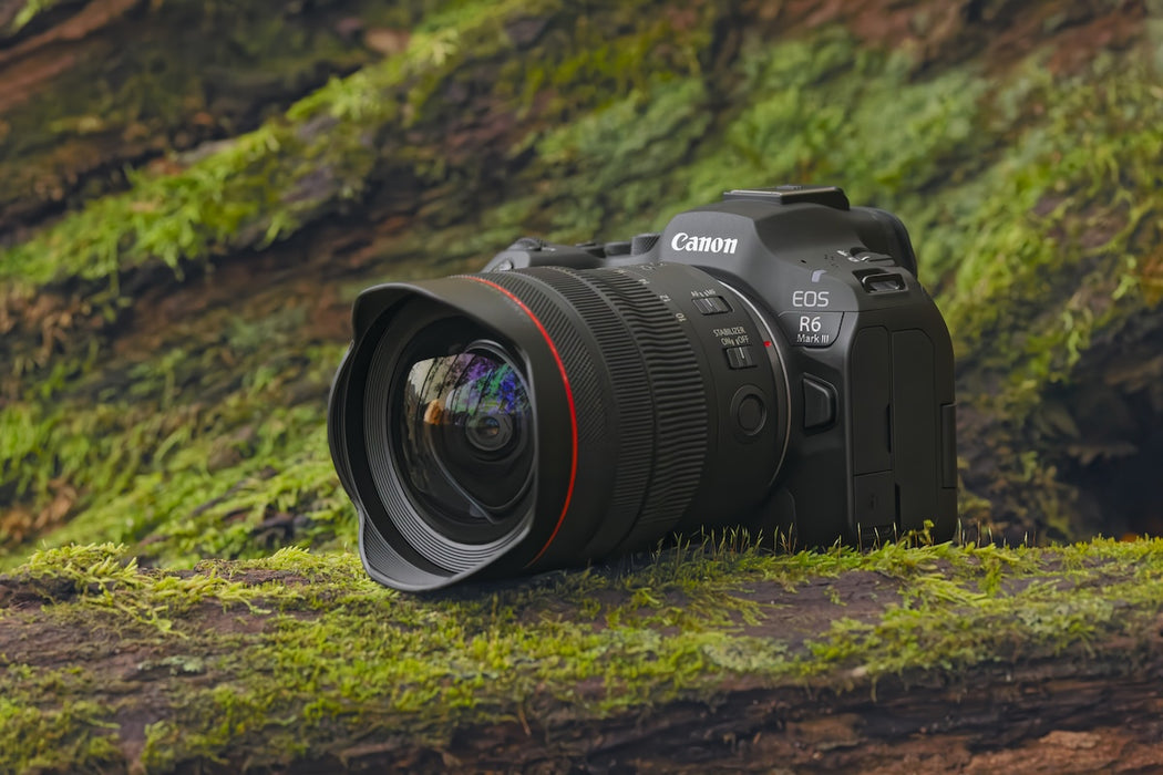 Canon EOS R6 Mark III with RF 24-105mm f/4 L IS USM Lens
