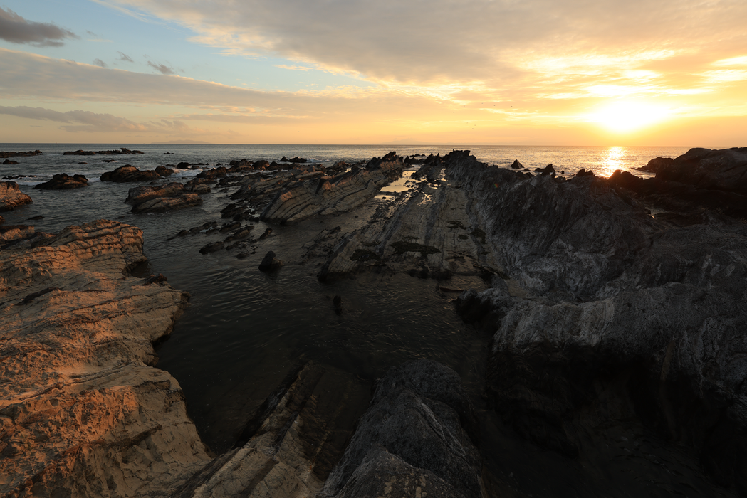 Canon RF 14mm f/1.4 L VCM Lens