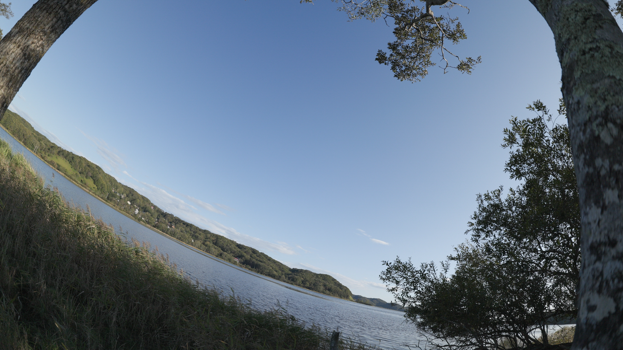 Canon RF 7-14mm f/2.8-3.5 L Fisheye STM Lens