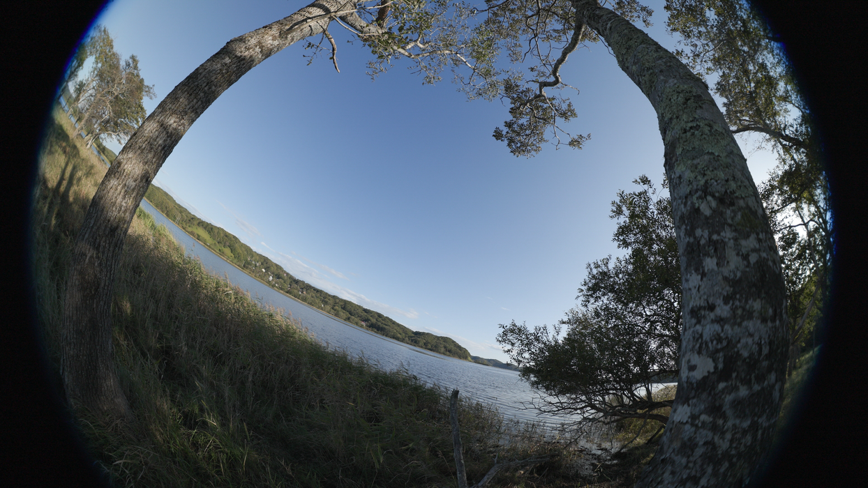 Canon RF 7-14mm f/2.8-3.5 L Fisheye STM Lens