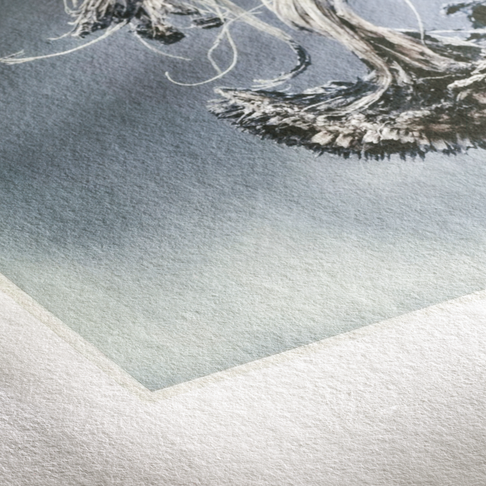 Hahnemühle Museum Etching FineArt Textured Matte Inkjet Paper 350gsm, 13 x 19" - 25 Sheets