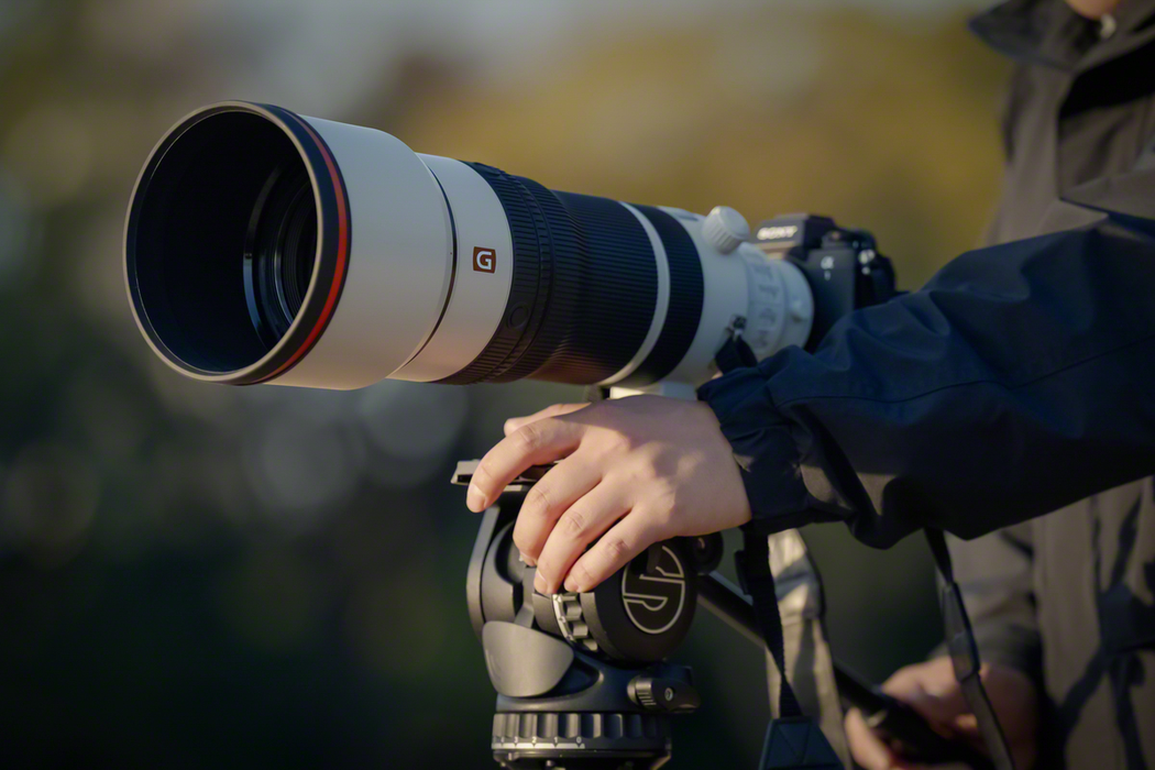 Sony FE 100-400mm f/4.5 GM OSS Lens