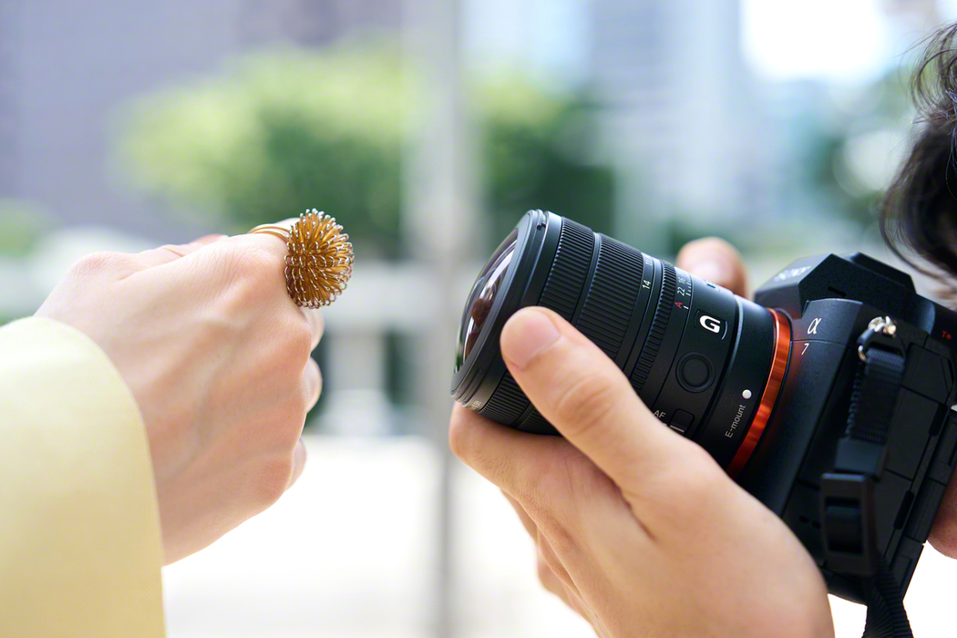 Sony FE 8-14mm f/3.5 Fisheye G Lens