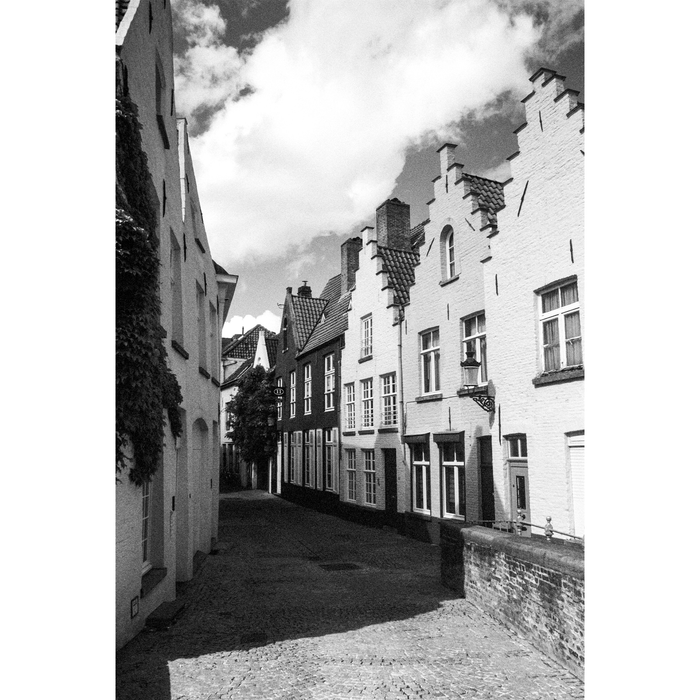 Ilford SFX 200 Black & White Negative - 35mm Film, 36 Exposures, Single Roll