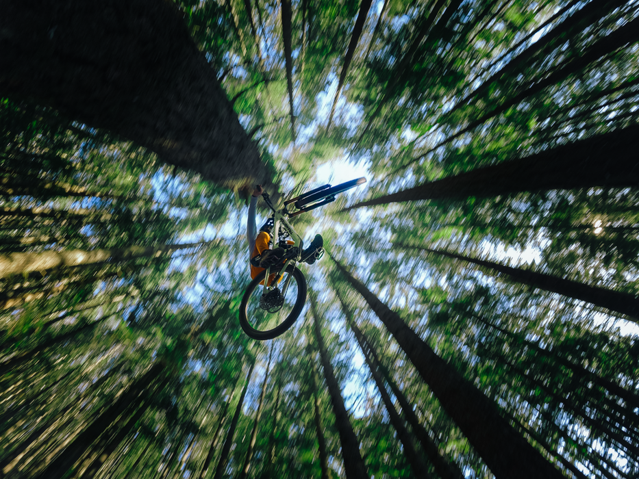 GoPro MISSION 1 PRO