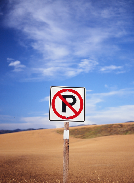 Kodak Eastman Professional EKTACHROME E100 Color Reversal - 35mm Film, 36 Exposures, Single Roll