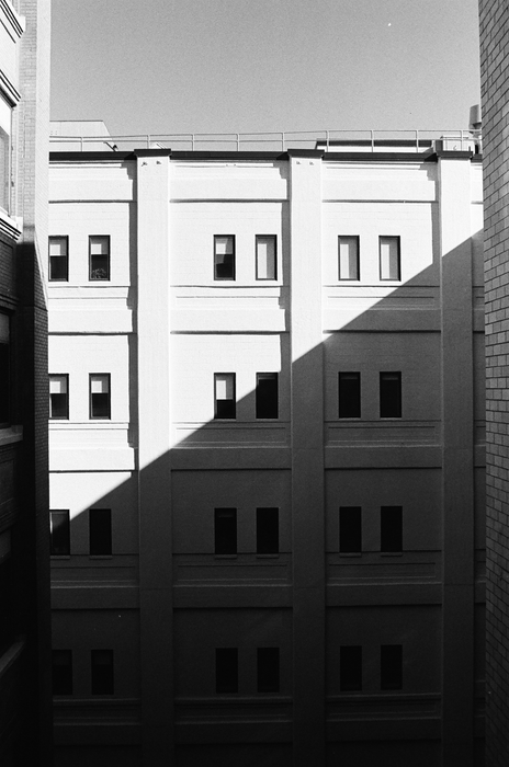 Kodak Eastman Professional TRI-X 400 Black & White Negative - 120 Film, 5 Pack