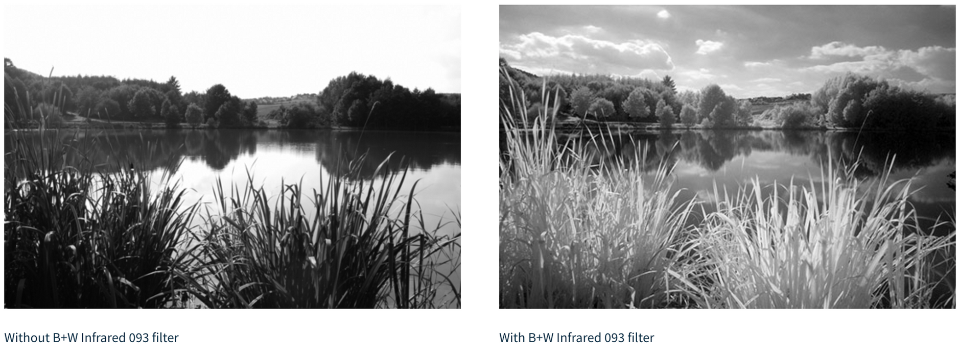 B+W 77mm #093/830 Infrared Black Red Filter