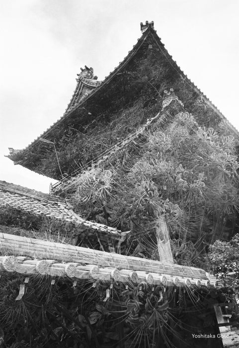 Kodak Snapic A1 35mm Film Camera - Rhino Grey