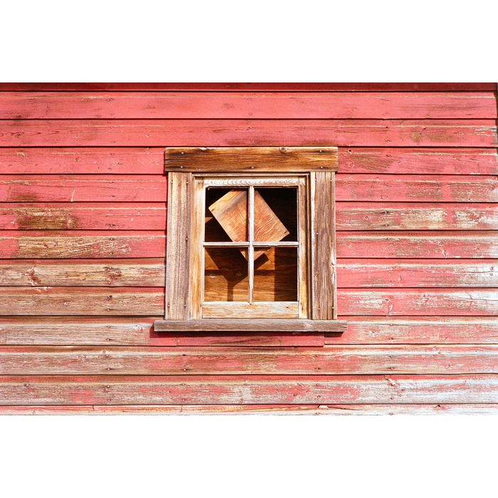 Street Candy Street Savvy 400 Color Negative - 35mm Film, 36 Exposures, Single Roll