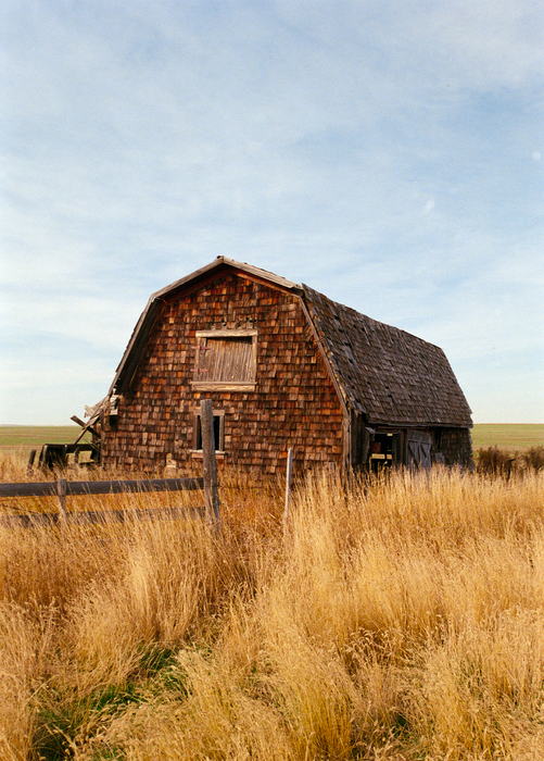 Street Candy Street Savvy 400 Color Negative - 35mm Film, 36 Exposures, Single Roll