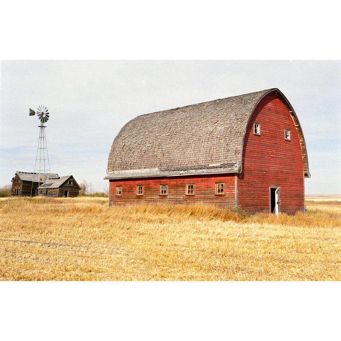 Street Candy Street Savvy 400 Color Negative - 35mm Film, 36 Exposures, Single Roll