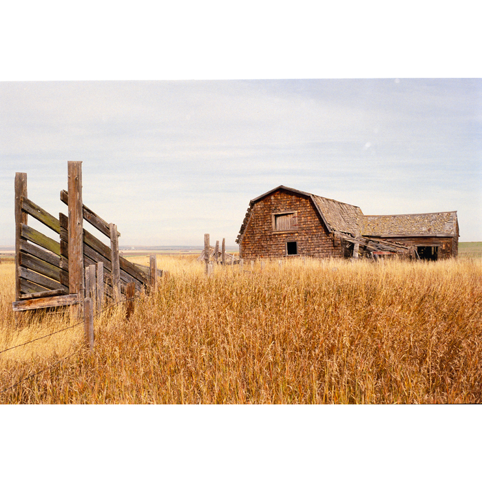 Street Candy Street Savvy 400 Color Negative - 35mm Film, 36 Exposures, Single Roll