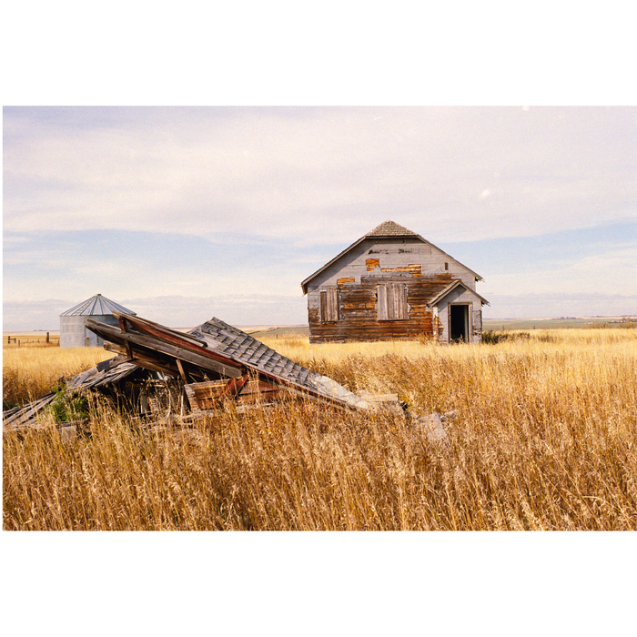 Street Candy Street Savvy 400 Color Negative - 35mm Film, 36 Exposures, Single Roll