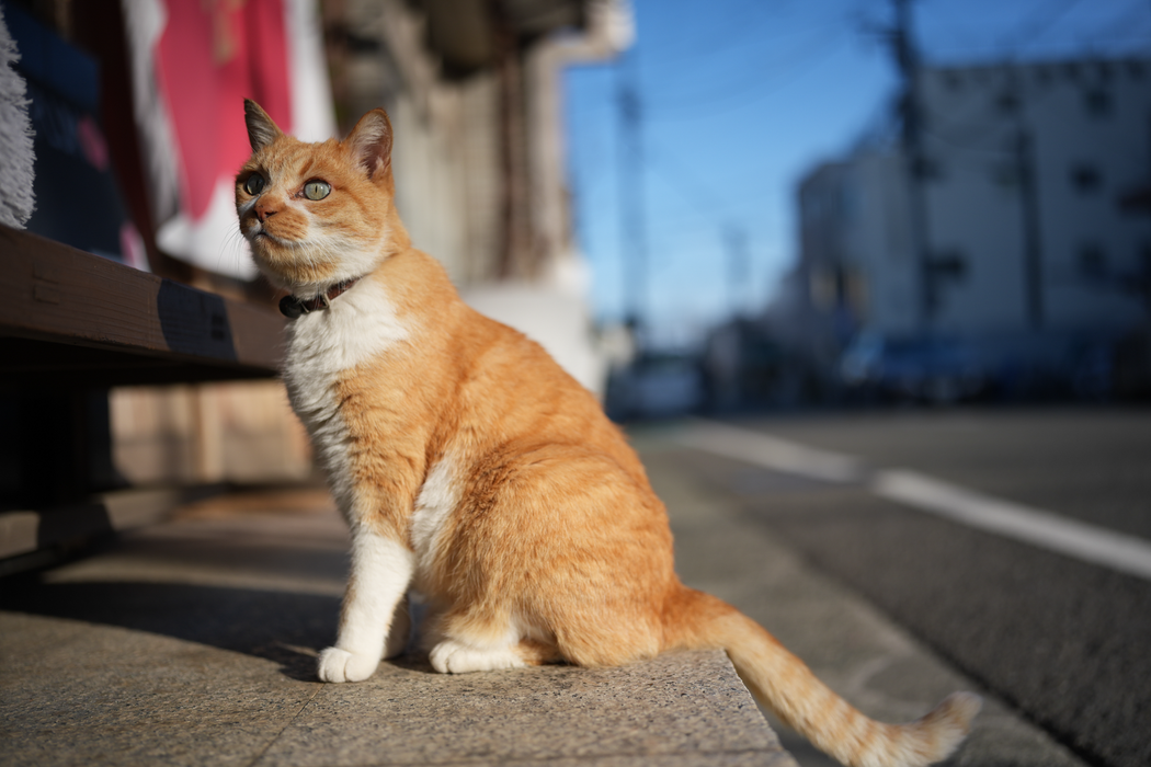 Sigma 35mm f/1.4 DG II Art Lens - Sony E Mount