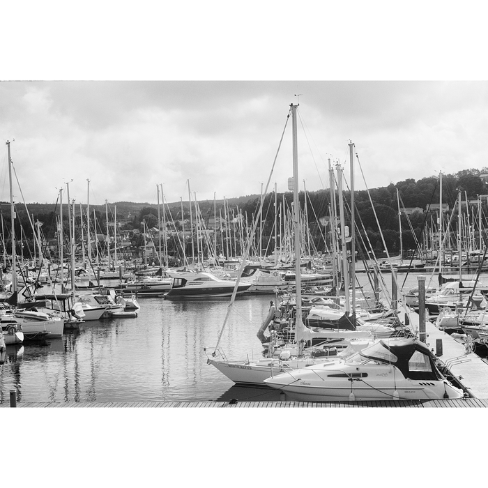 Ilford XP2 Super 400 Black & White Negative - 35mm Film, 36 Exposures, Single Roll