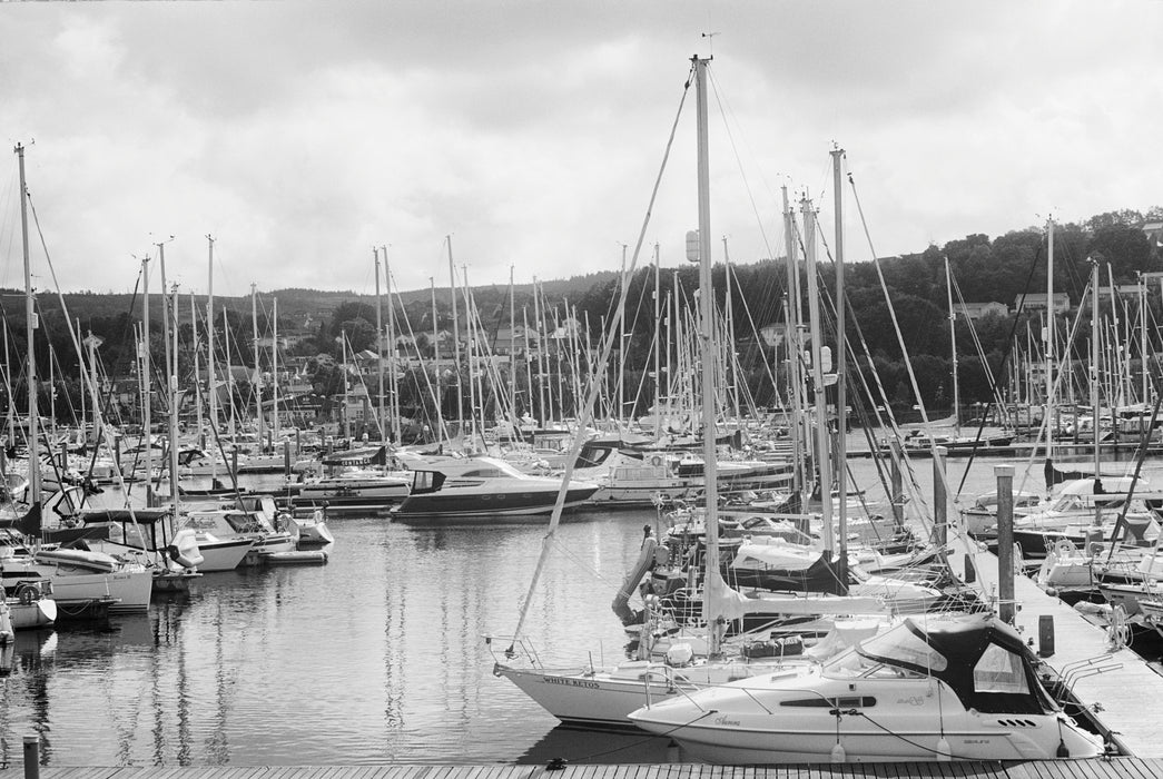 Ilford XP2 Super 400 Black & White Negative - 35mm Film, 36 Exposures, Single Roll (Football Collectors Edition)