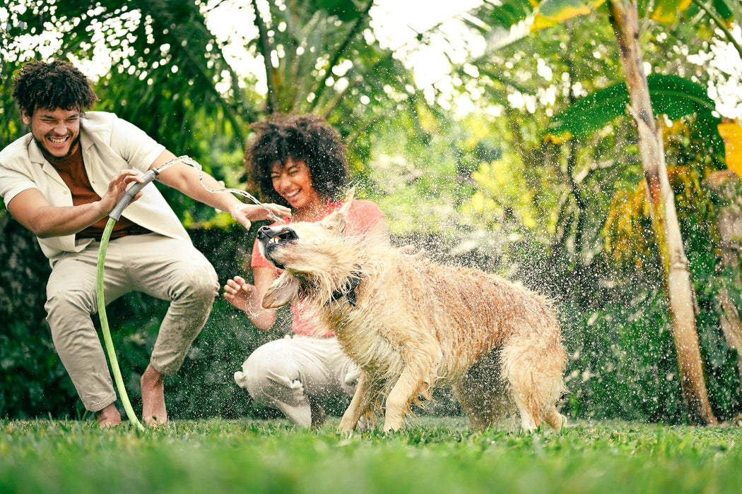 Nikon Z5 II Mirrorless Camera with 24-50mm f/4-6.3 Lens