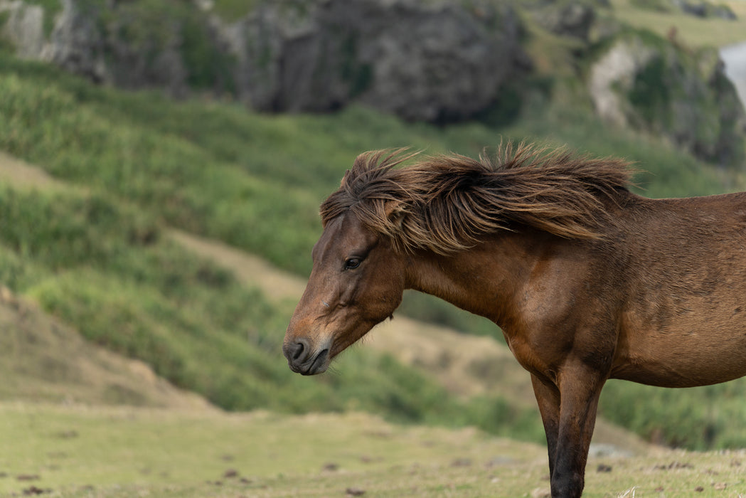 Tamron 28-300mm F/4-7.1 Di III VC VXD Lens - Sony E Mount