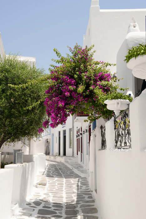 Tamron 25-200mm f/2.8-5.6 Di III VXD G2 Lens - Sony E Mount