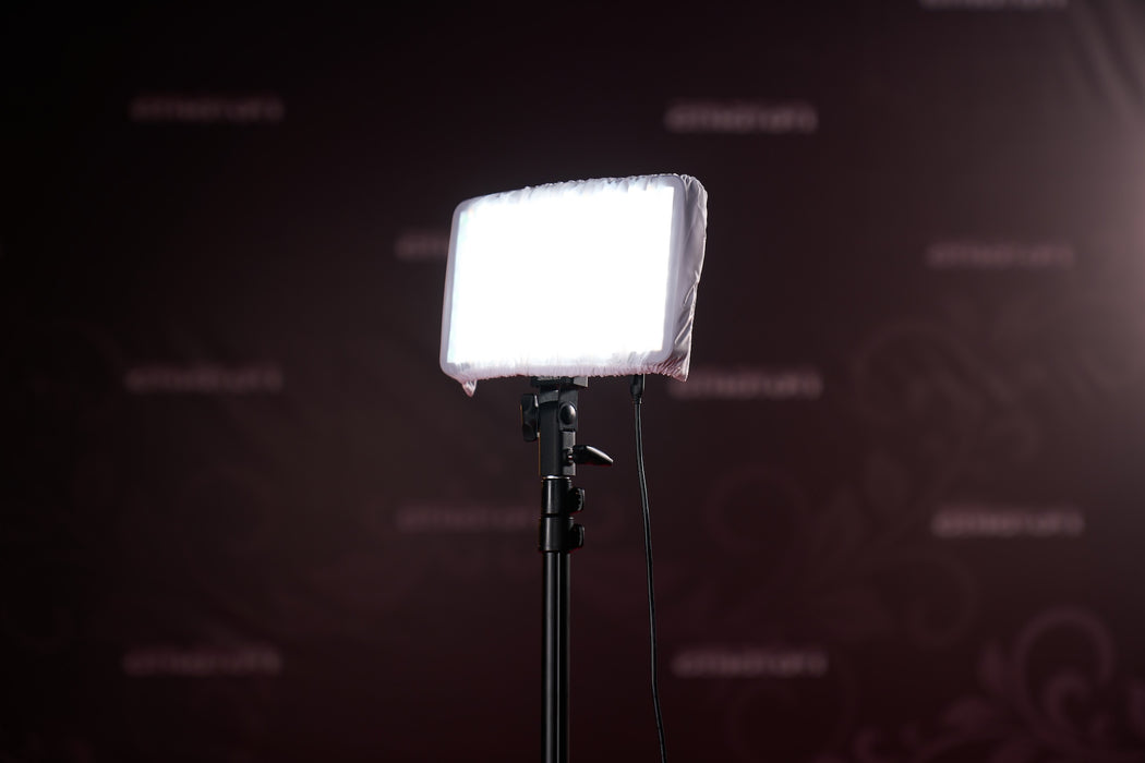 Amaran Pano 60c 2 Light Kit - Charcoal