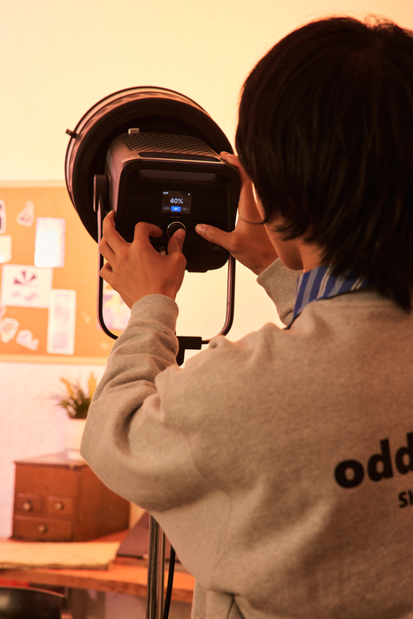 Amaran Ray 660c Bi-Color COB LED Monolight