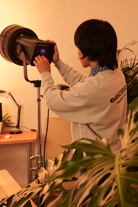 Amaran Ray 660c Bi-Color COB LED Monolight