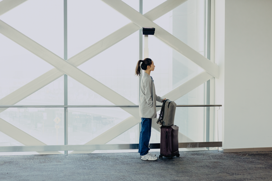 Peak Design Travel 20L Backpack - Stone