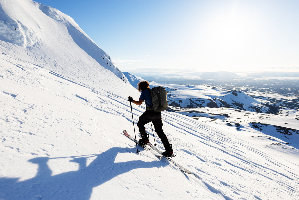 Peak Design Travel 45L Backpack - Sage