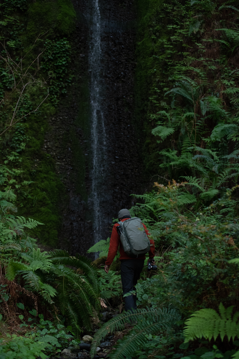 Peak Design Travel 45L Backpack - Sage