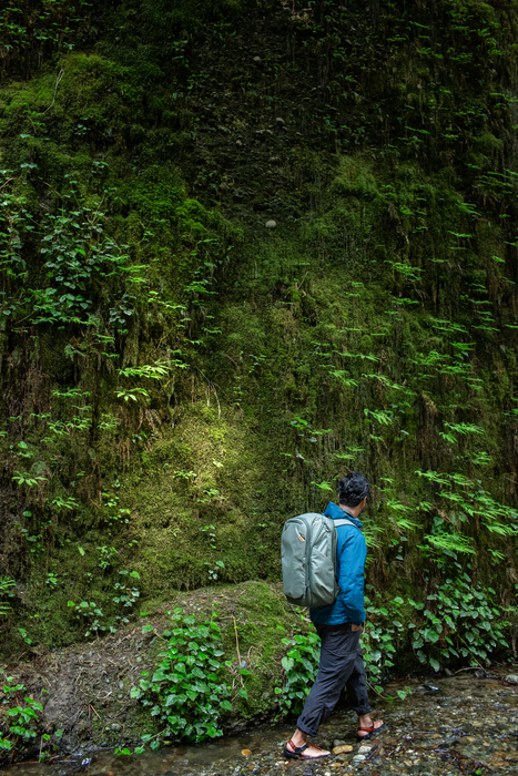 Peak Design Travel 45L Backpack - Sage